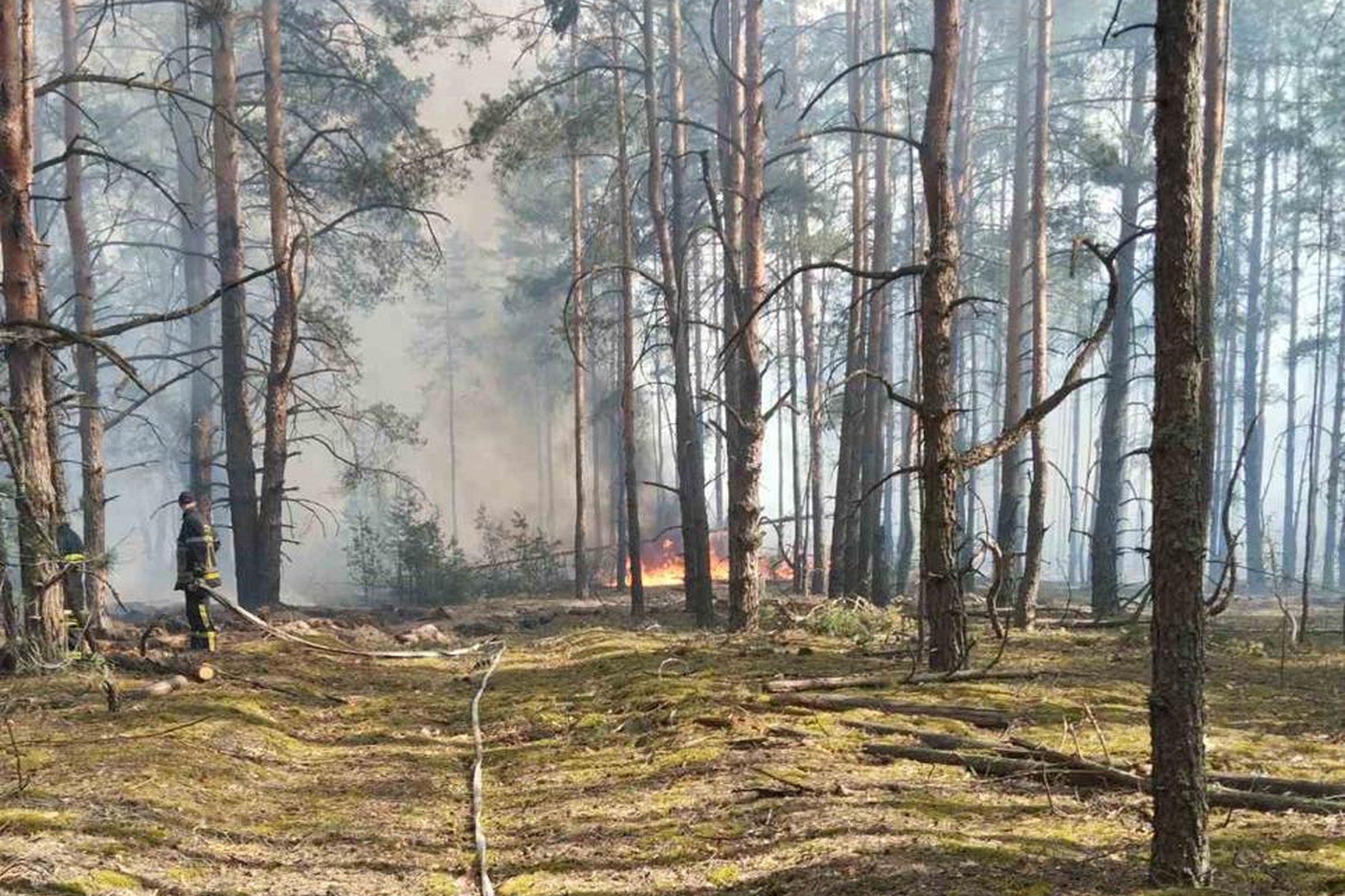 Gaisras Čornobylio atskirties zonoje, miške. Ukrainos gelbėjimo tarnybos nuotrauka (https://www.facebook.com/DSNS.GOV.UA)